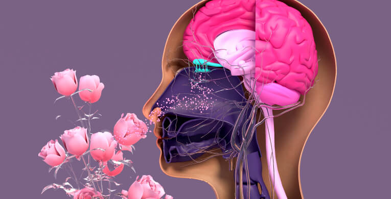 la-menstruacion-se-sincroniza-int-articulo-2