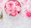 El agua de rosas ha sido usado como tónico y secreto de belleza por muchas generaciones, pues el extracto de rosas está lleno de antioxidantes que hidratan y rejuvenecen la piel, ayudan a la cicatrización y es ideal para el tratamiento de manchas.