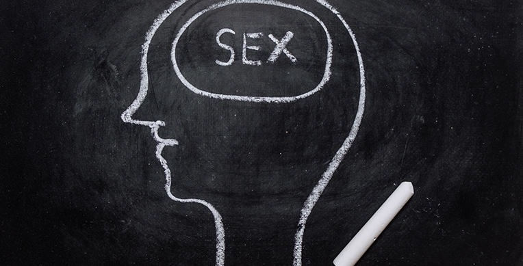 sexualidad y cerebro