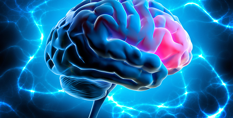 sexualidad-y-cerebro-como-se-conectan-interior3