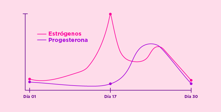 tenemos-testosterona-conoce-cuales-son-las-hormonas-femeninas-int-articulo-2