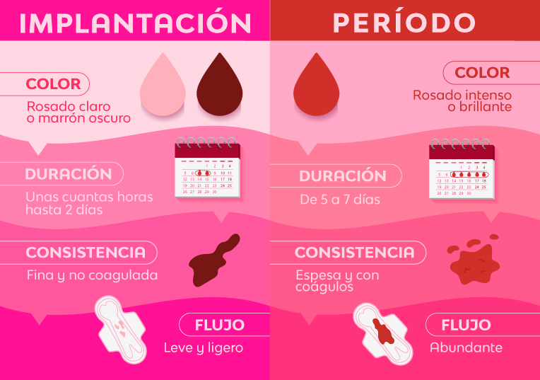 Menstruación en el embarazo: ¿Es posible? - Nosotras