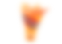 Premio de Nosotras Online Frisnacks