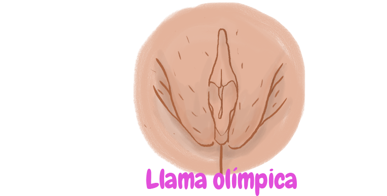 no-todas-las-vaginas-son-iguales-6