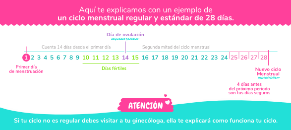 tabla-ciclo-menstrual