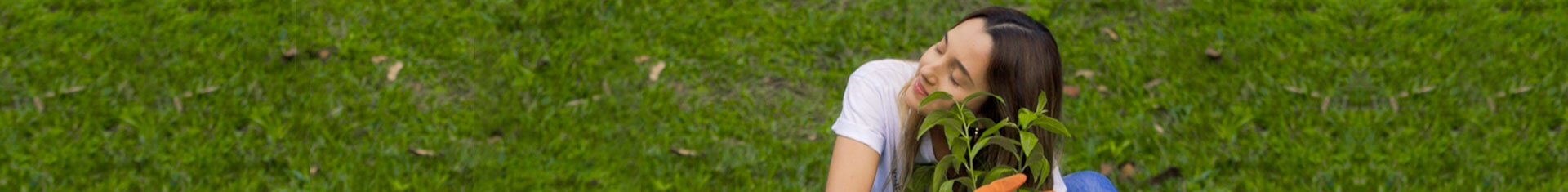 Sostenibilidad en Nosotras Online