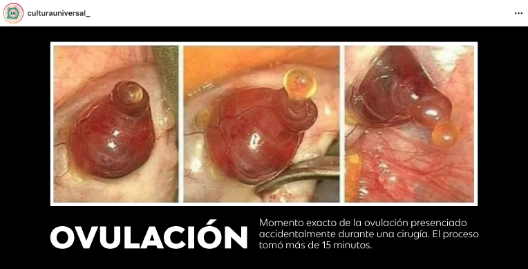 ni-enfermita-ni-en-mis-dias-analistas-interior1