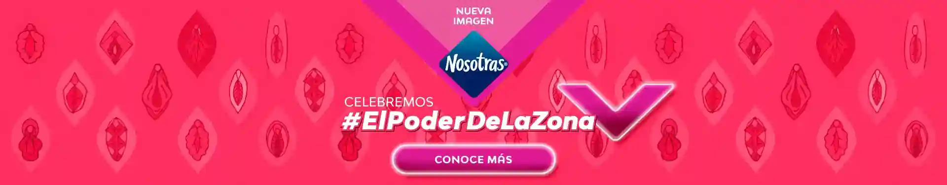 Banner nueva imagen zona v