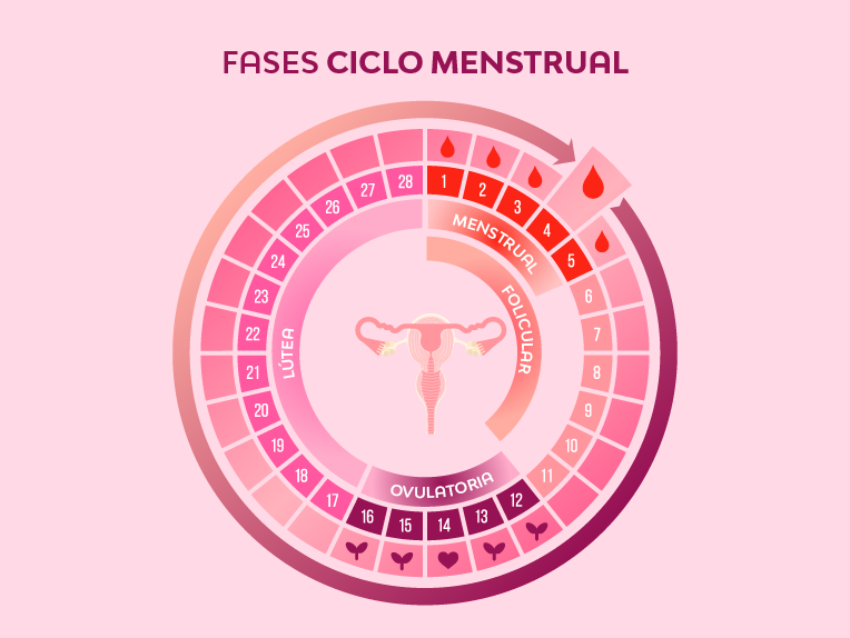 herramientas-para-calcular-tu-ciclo-menstrual-nosotras-articulo-1