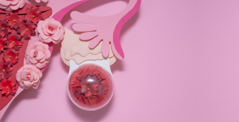 flujo-menstrual-interna01