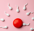 Cosas que debes saber sobre tu fertilidad