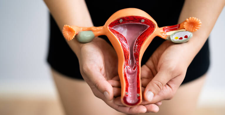 utero-en-retroversion-y-tipos-de-utero-conoce-sus-diferencias-int-articulo-1