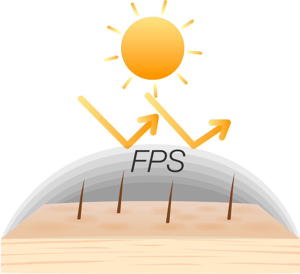 que es fps
