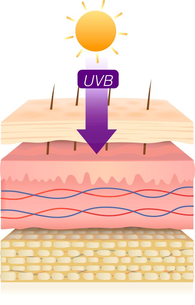 Rayos UVB