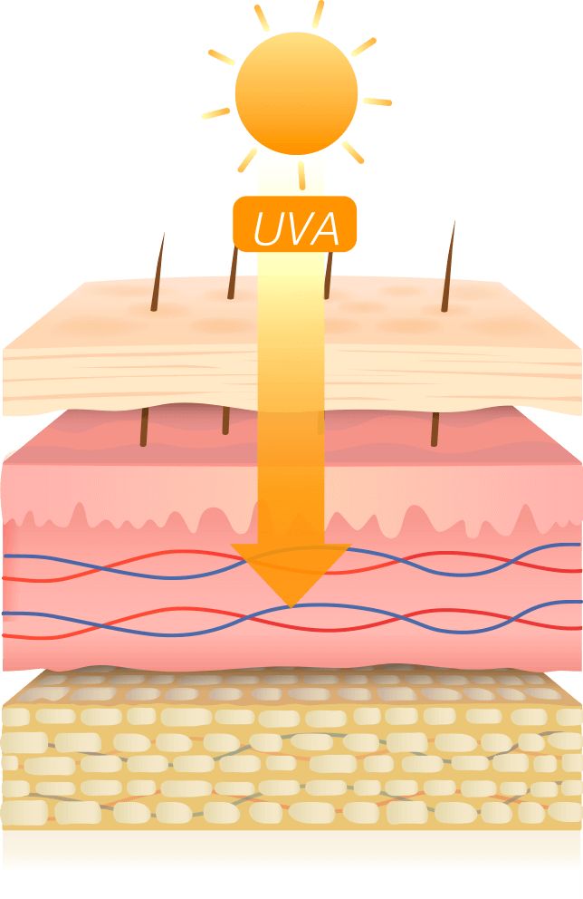 Rayos UVA