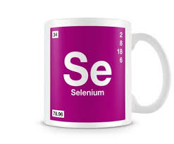 The Selenium Mug