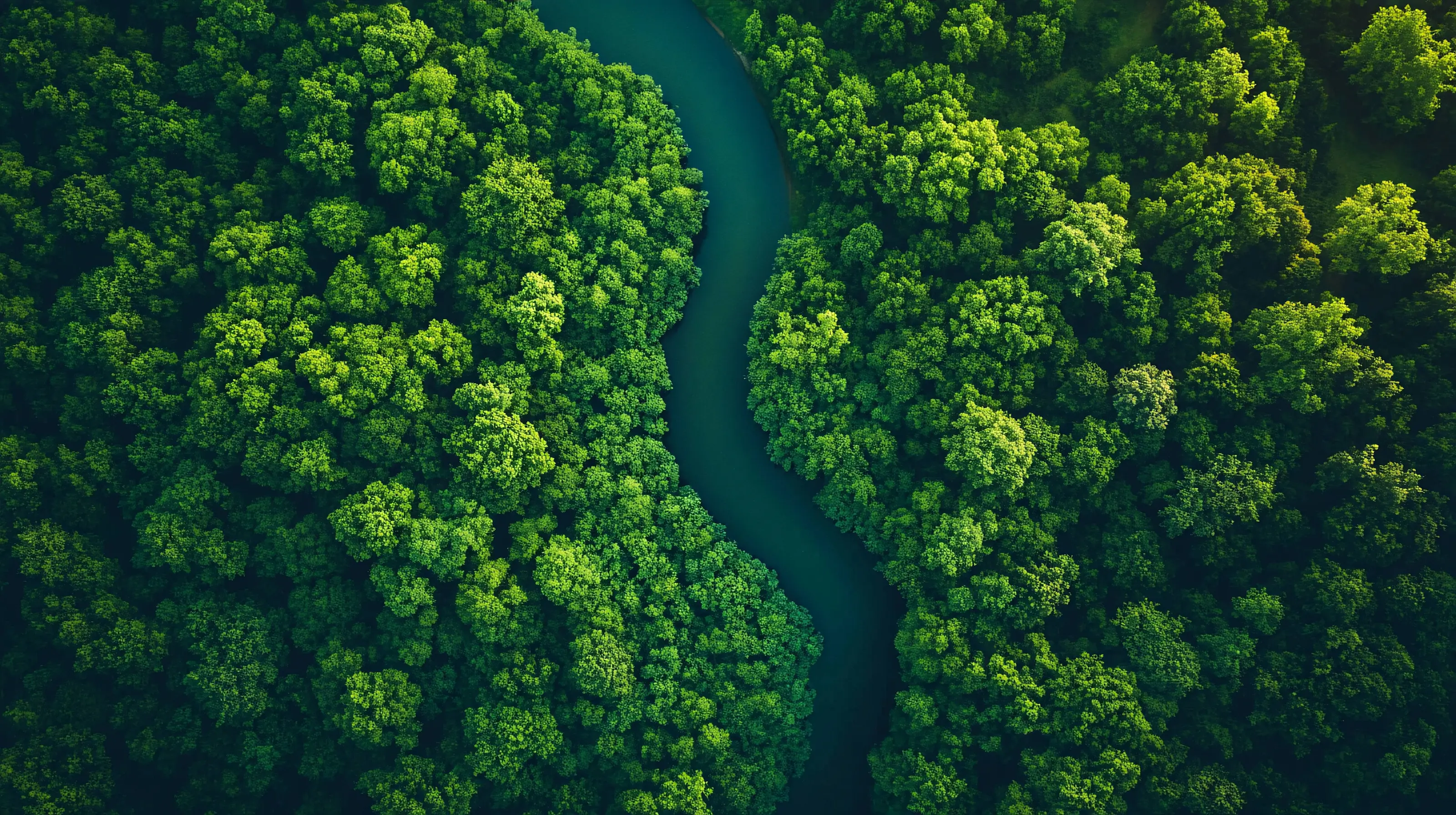Sustainability Hero Section - Green Forest Top View