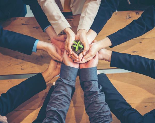 hands-green-eco-1