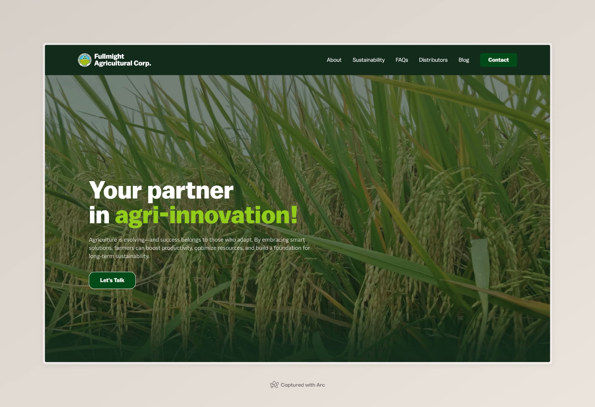 Fullmight Website Homepage Screenshot