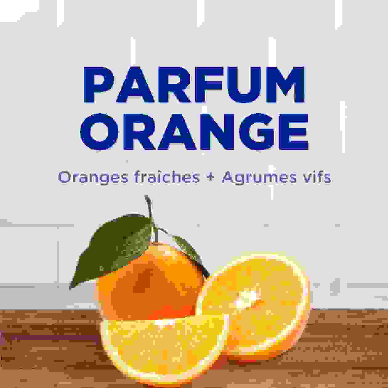 PARFUM ORANGE Oranges fraîches + Agrumes vifs