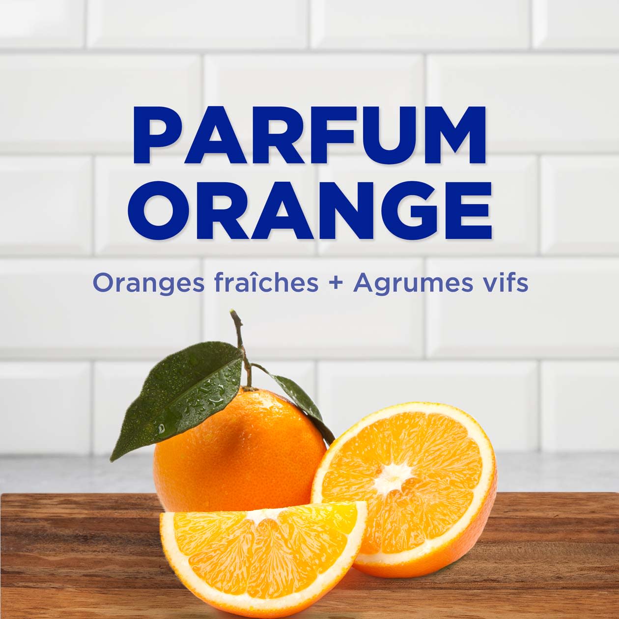 PARFUM ORANGE Oranges fraîches + Agrumes vifs