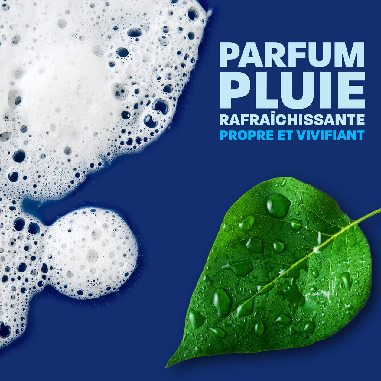 parfum pluie rafraichissante propre et vivifiant