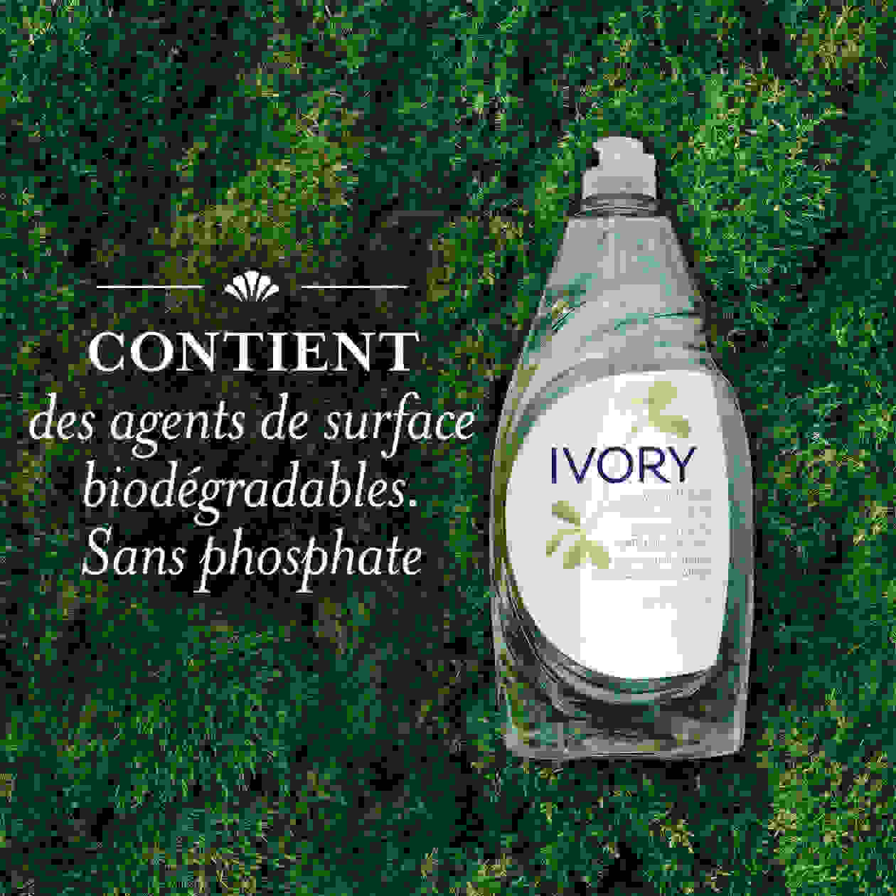 Ivory_02_1_CA_FR