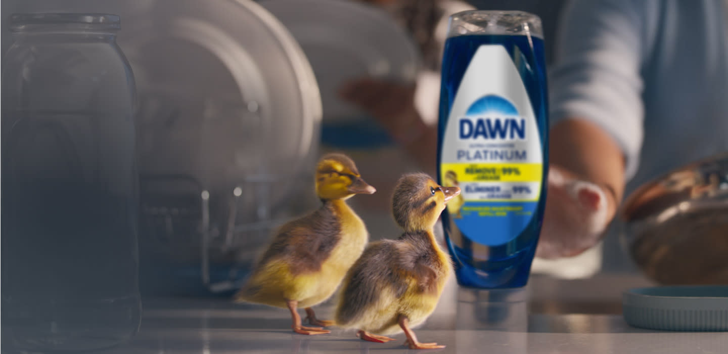 Dawn Dish bottle by sink