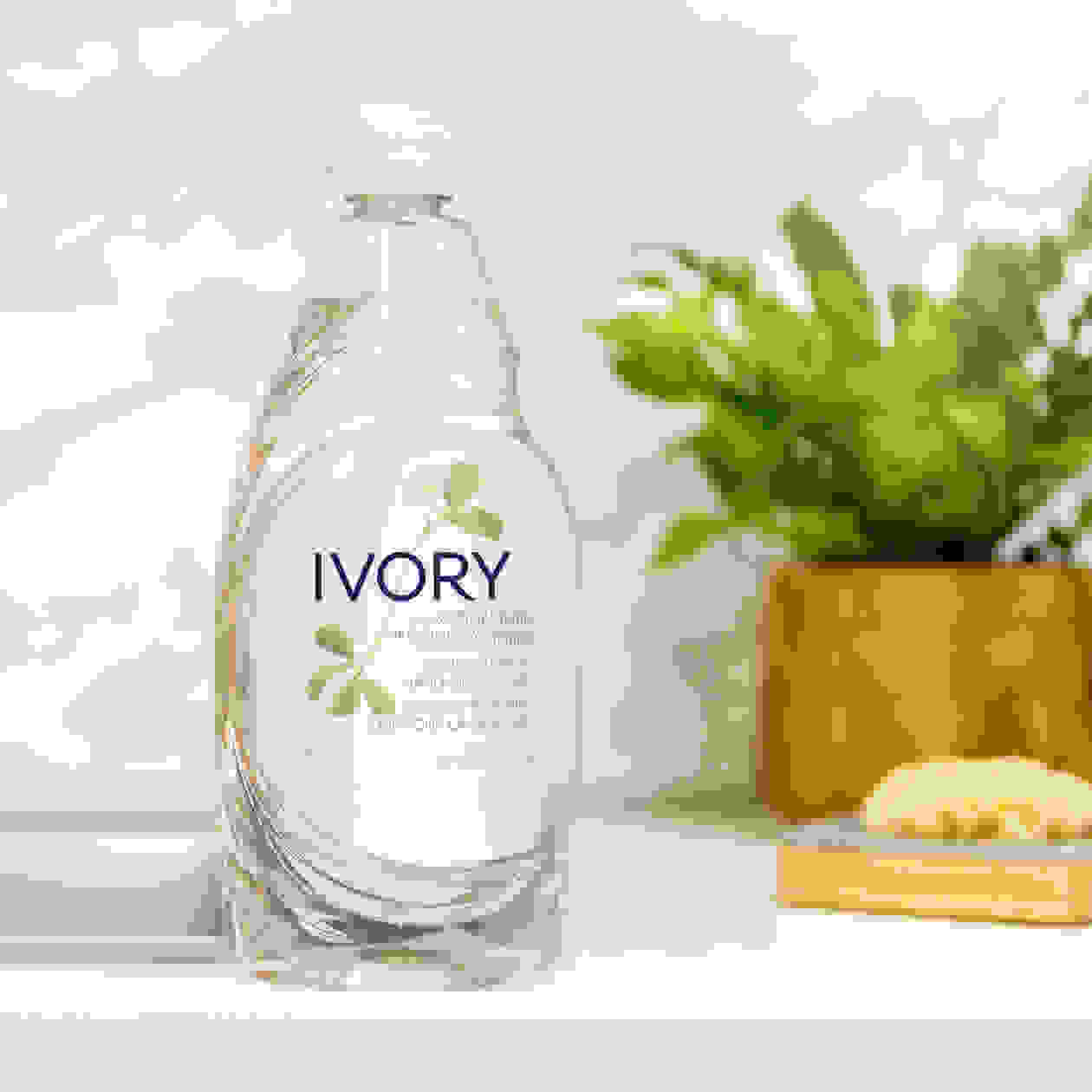 Ivory_01_3_CA_FR