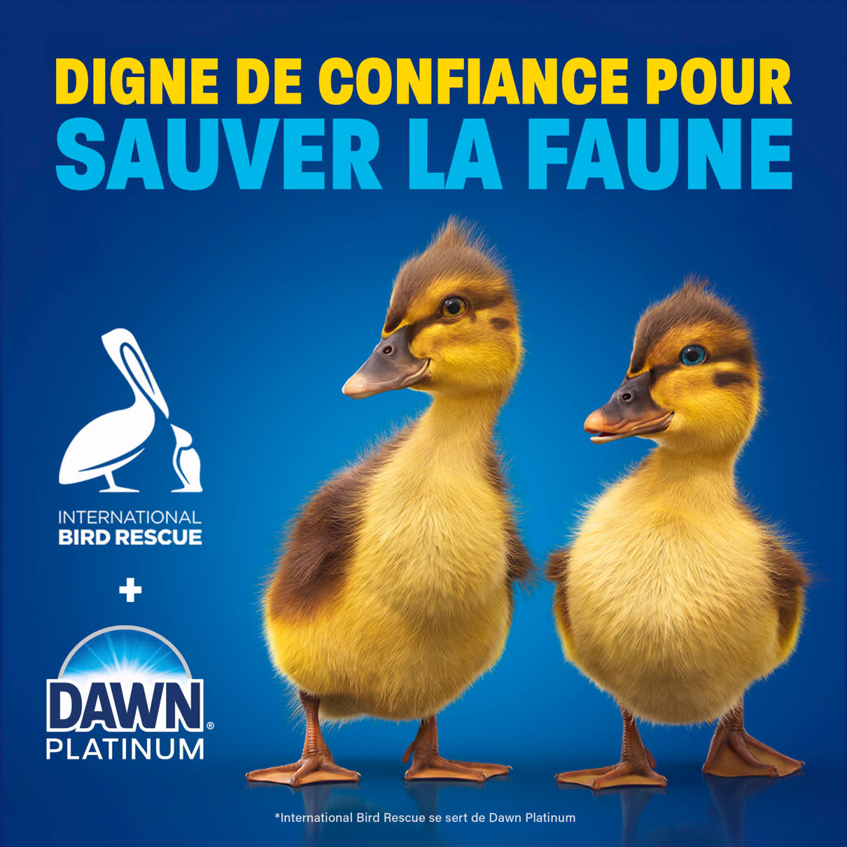 Digne de confiance pour sauver la faune