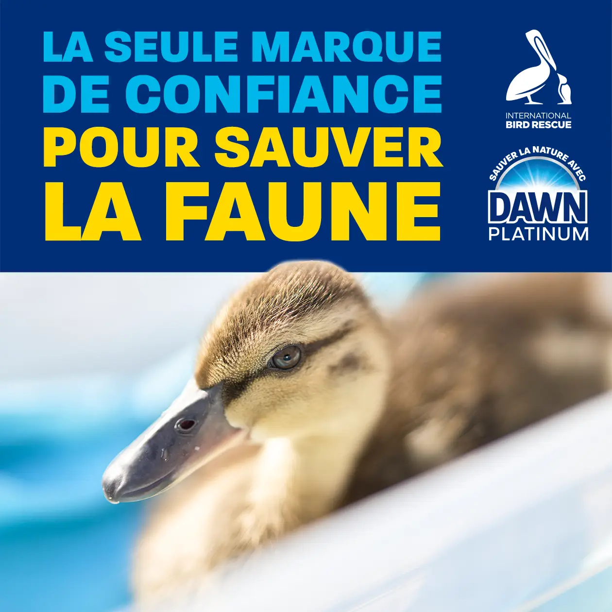 la seule marque de confiance pour sauver la faune