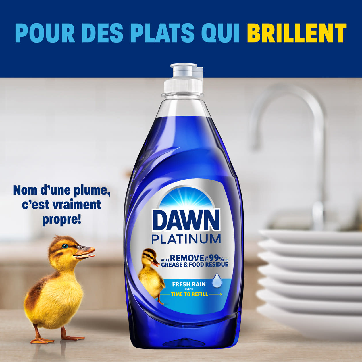 pour des plats qui brillent