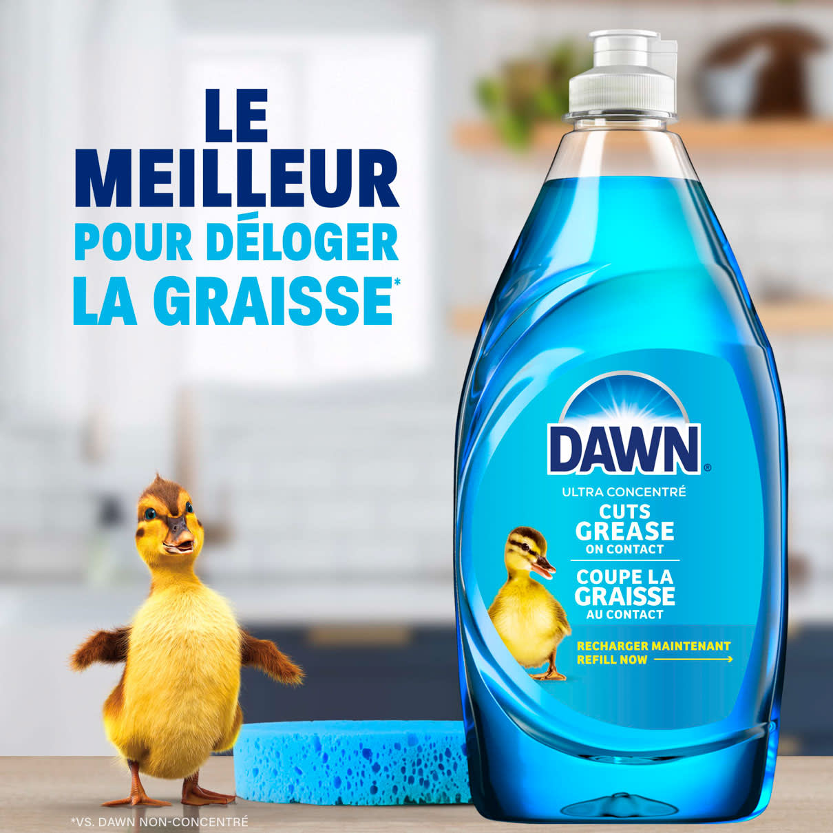 Le meilleur pour deloger la graisse
