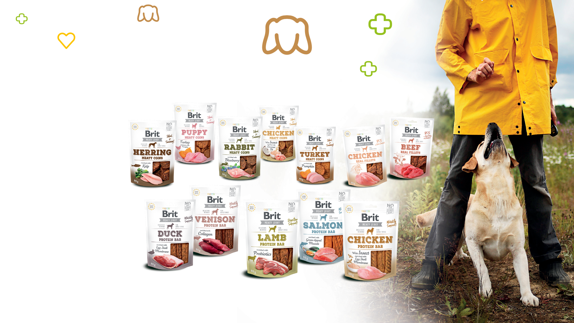 Dog_treats
