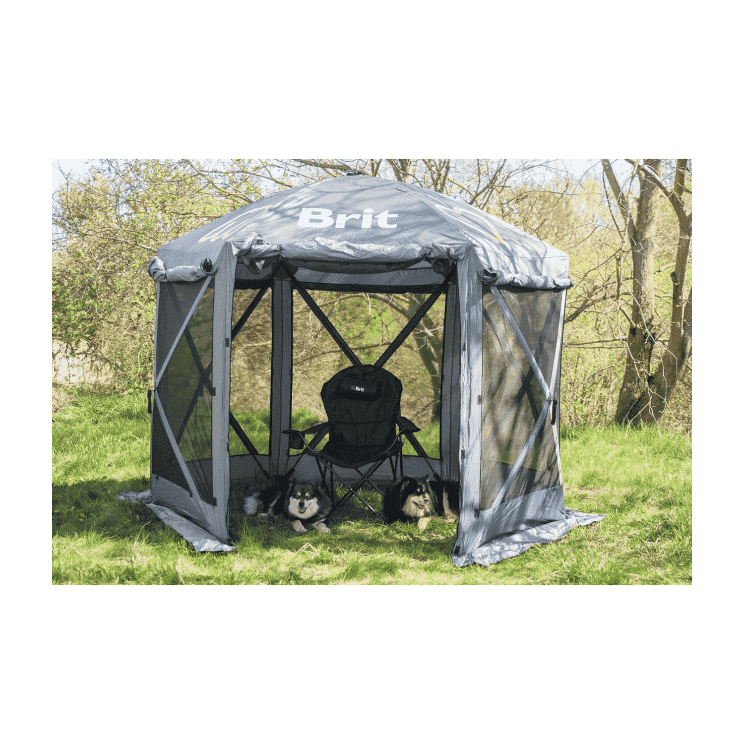 Brit show tent 2,8m