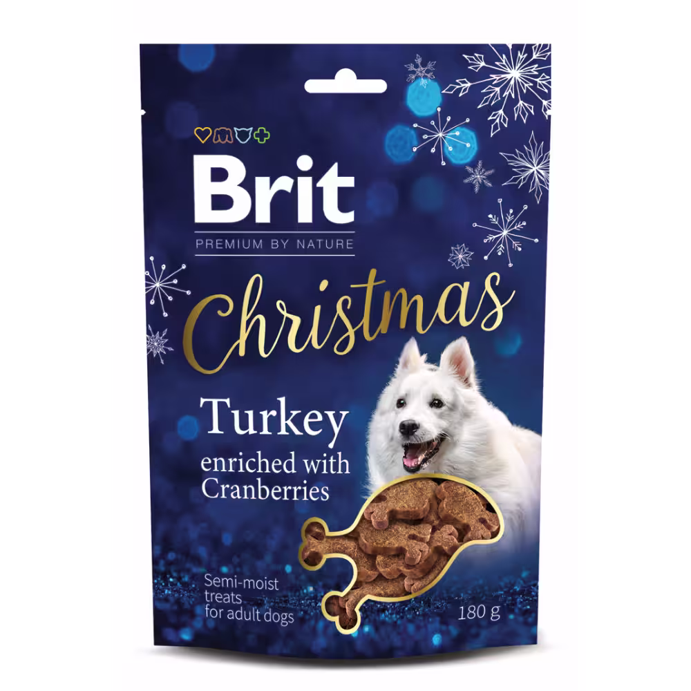 BPbN Dog Christmas