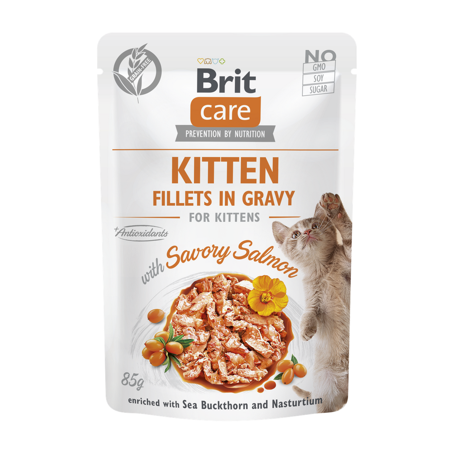 BCC Kitten. Fillets in Gravy with Savory Salmon