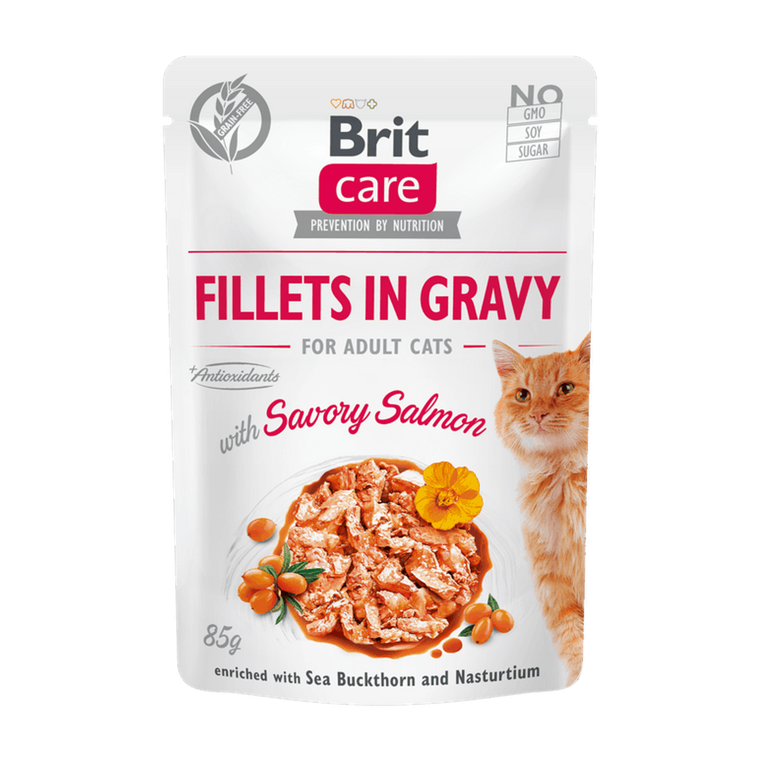 Brit Care Cat Fillets in Gravy with Savory Salmon
