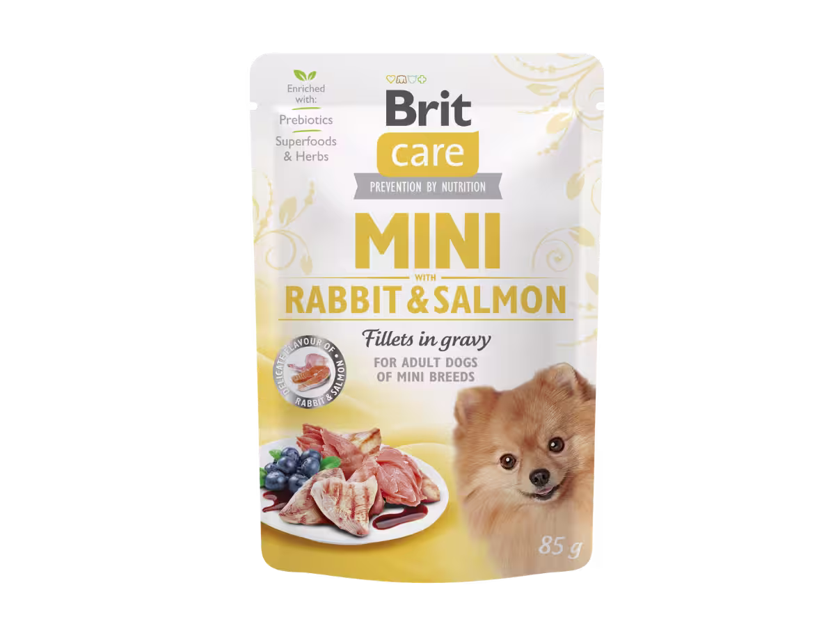 Brit Care Dog Mini treats SHINE