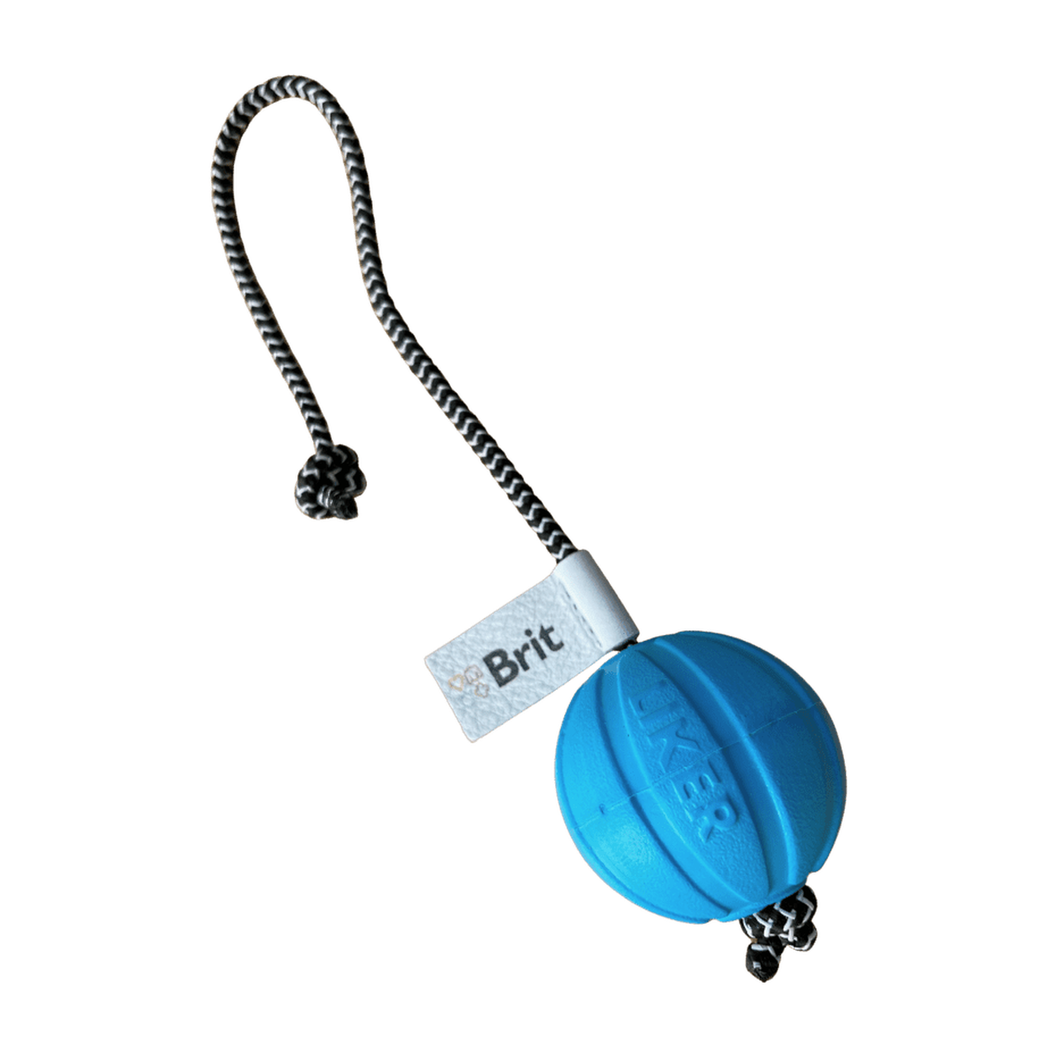 Brit Care Dog blue ball on a string