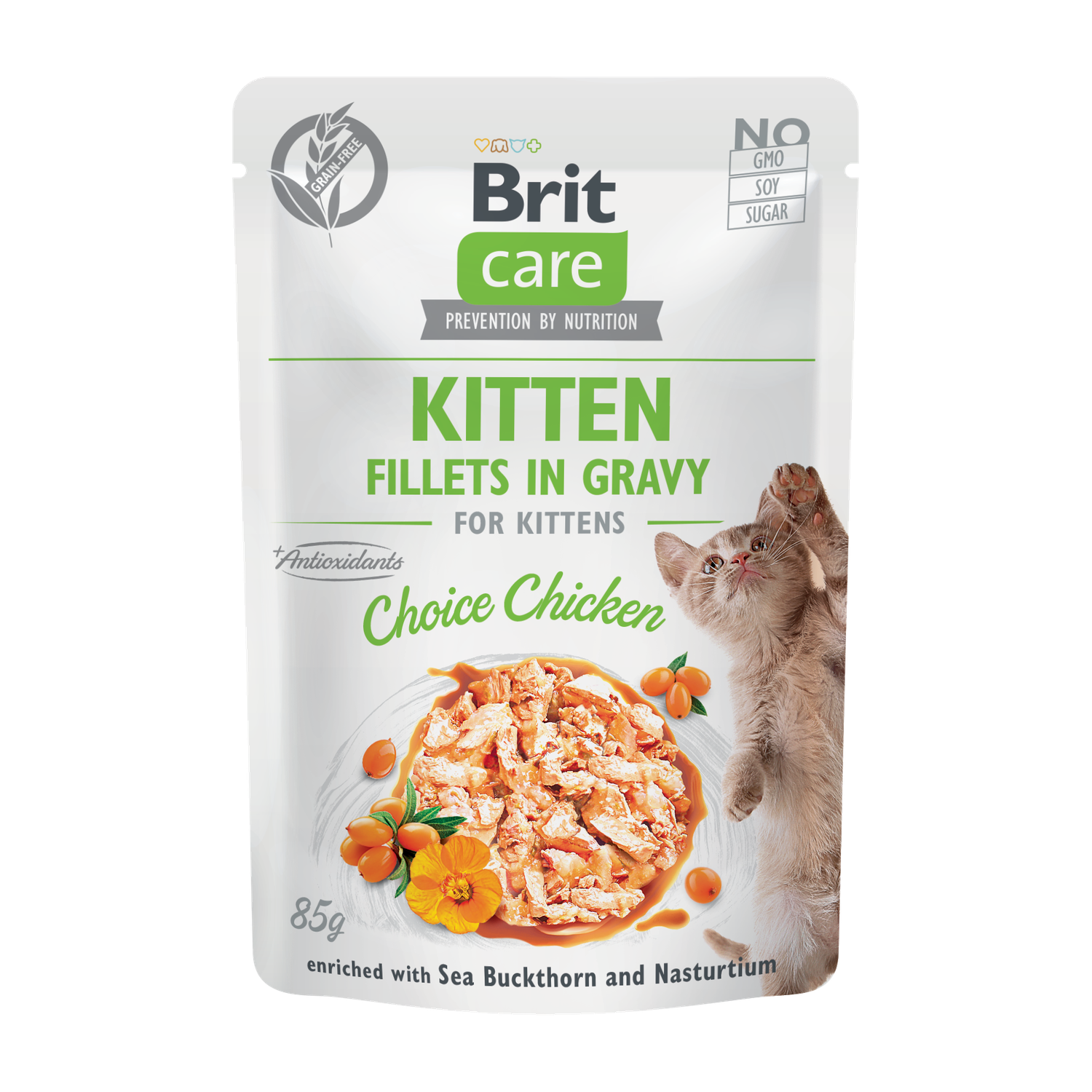 BCC Kitten. Fillets in Gravy Choice Chicken