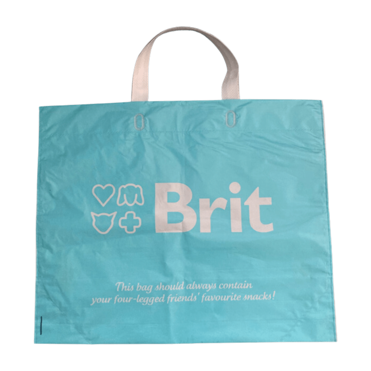 Brit Recycled Bag