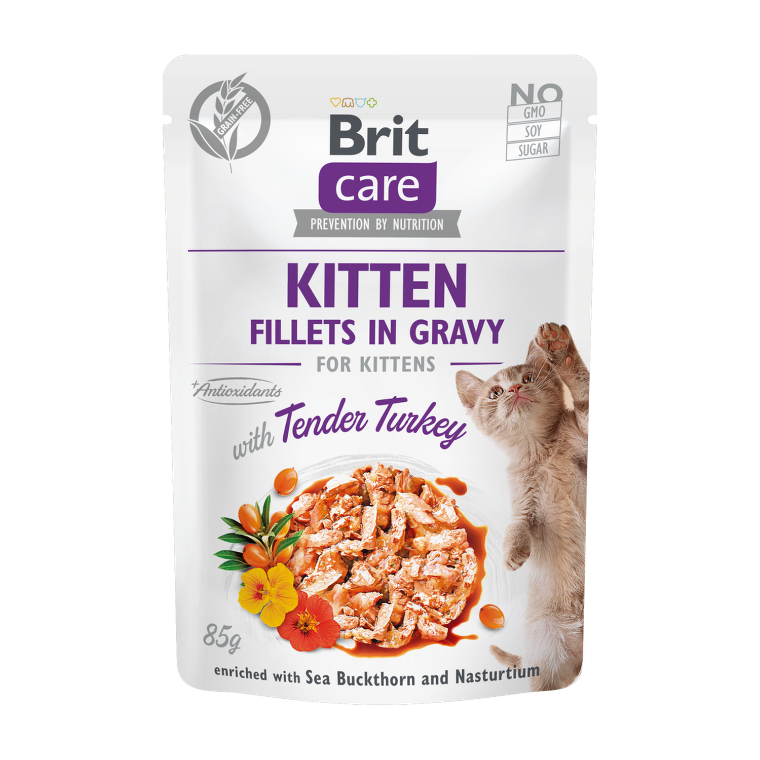 BCC Kitten. Fillets in Gravy w/Tender Turkey