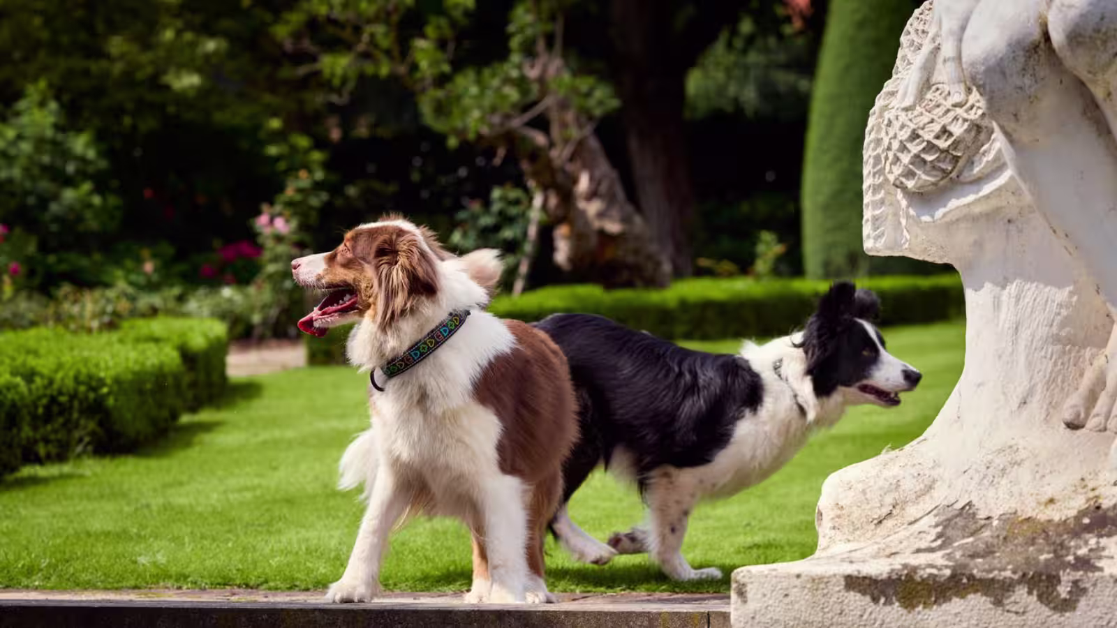 Brit Care Dog Hypoallergenic