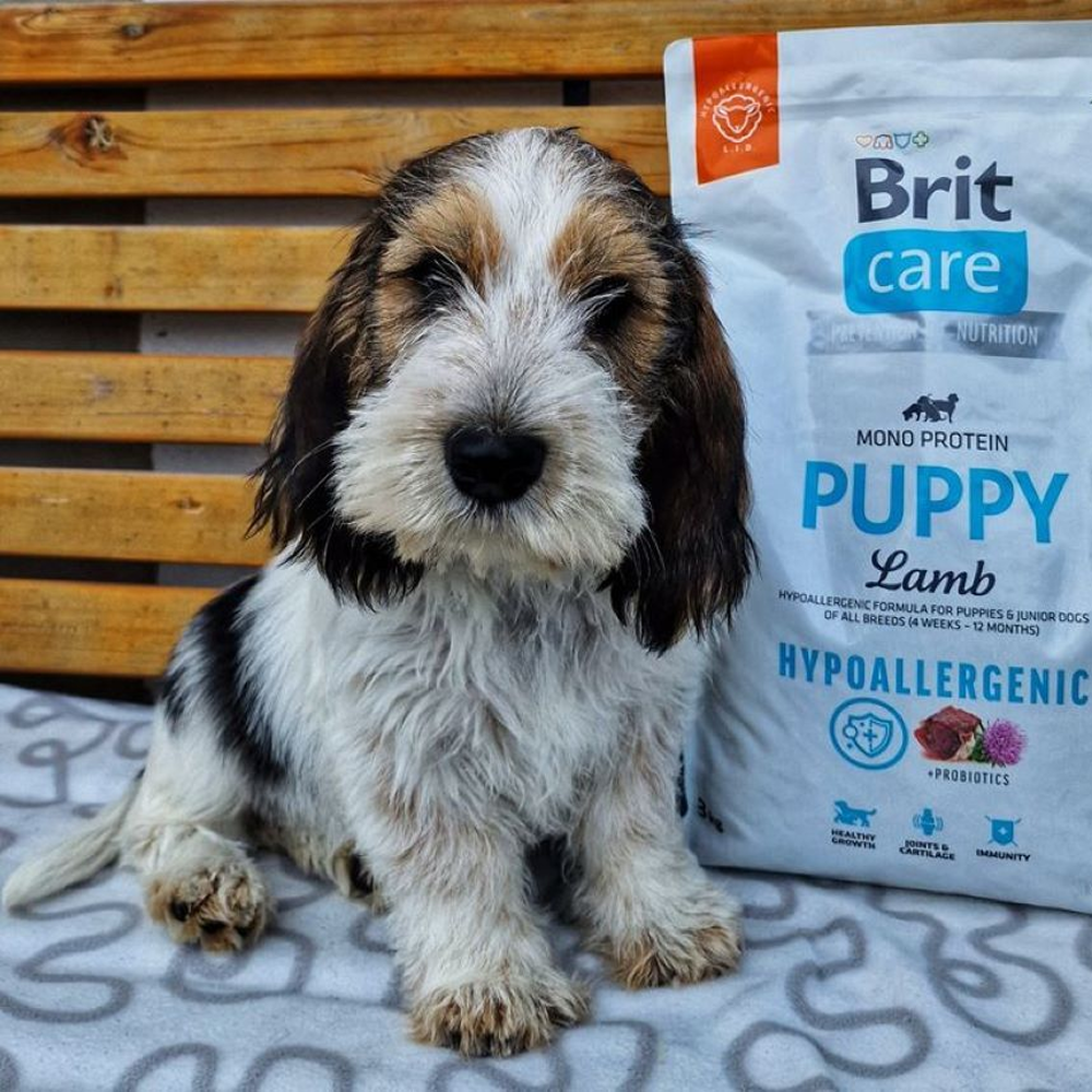 Brit Care Dog Hypoallergenic Puppy