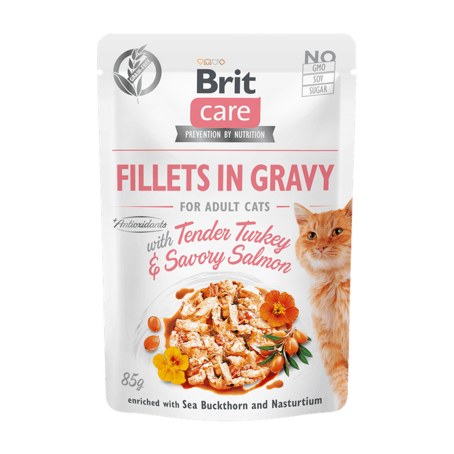 Brit Care Cat Fillets in Gravy with Tender Turkey Savory Salmon