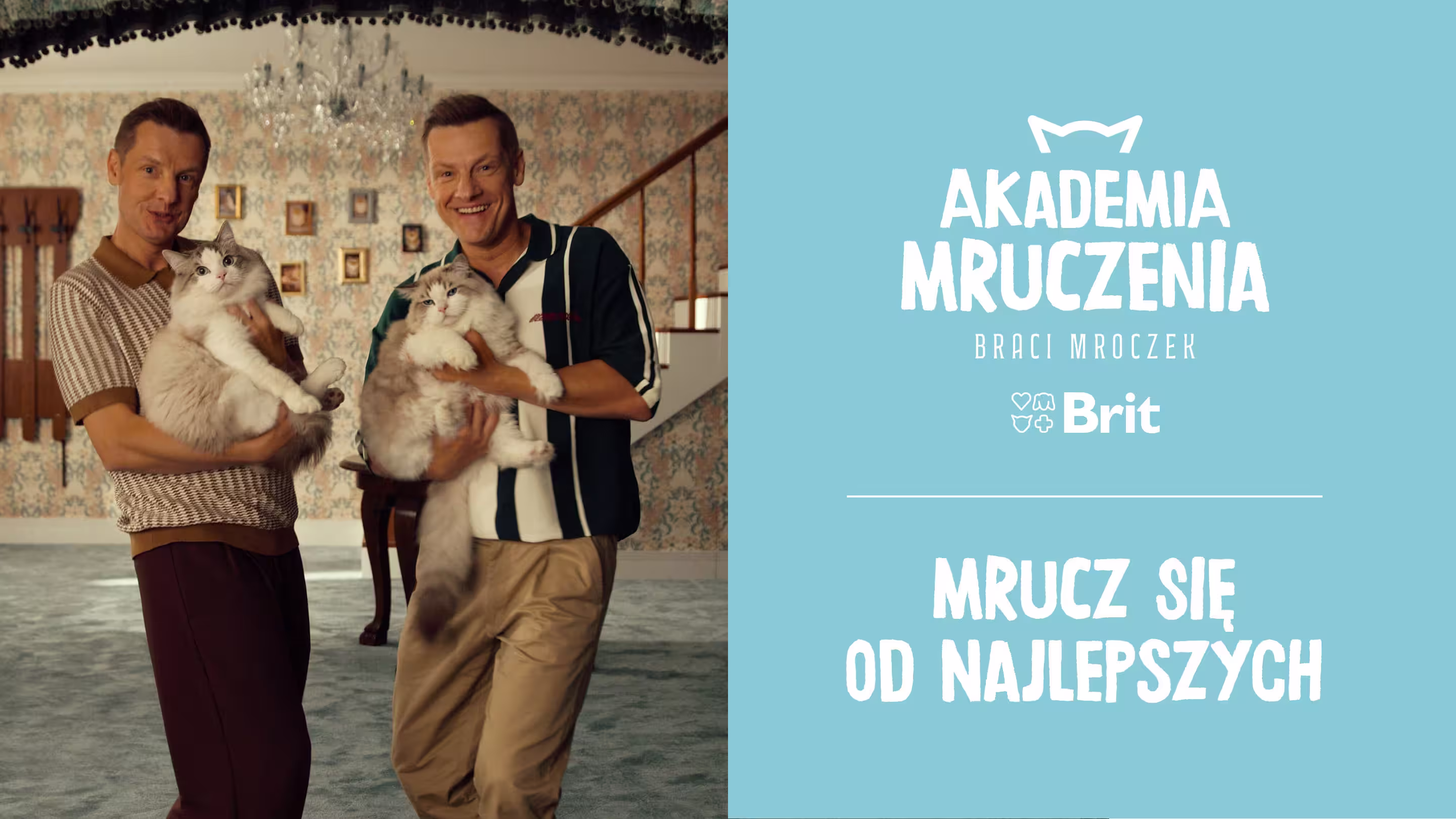 Akademia Mruczenia
