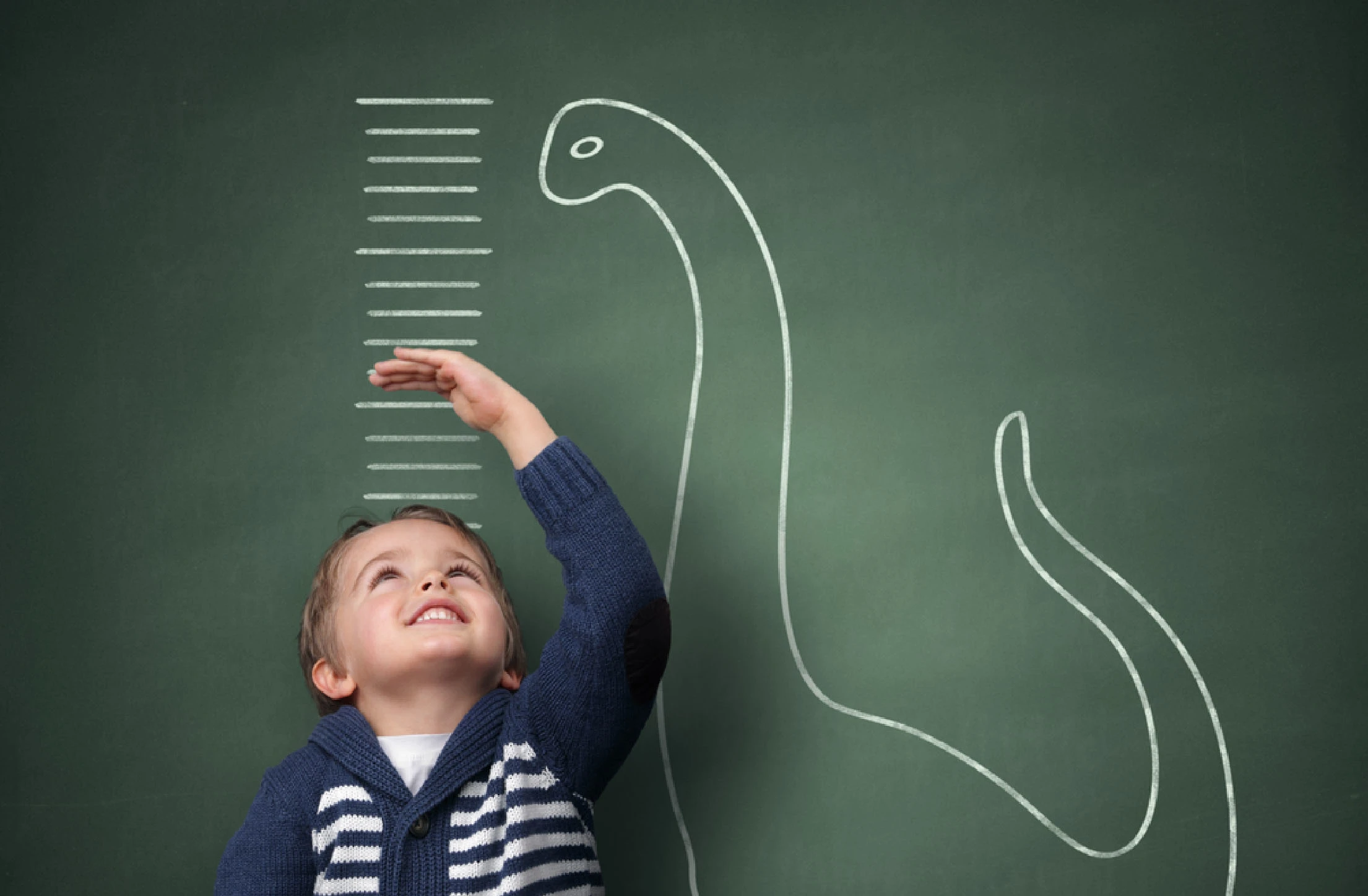Developmental Chart