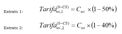 Res. 003 de 2021  Art. 5 form 2.PNG