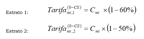 Res. 003 de 2021  Art. 6.PNG